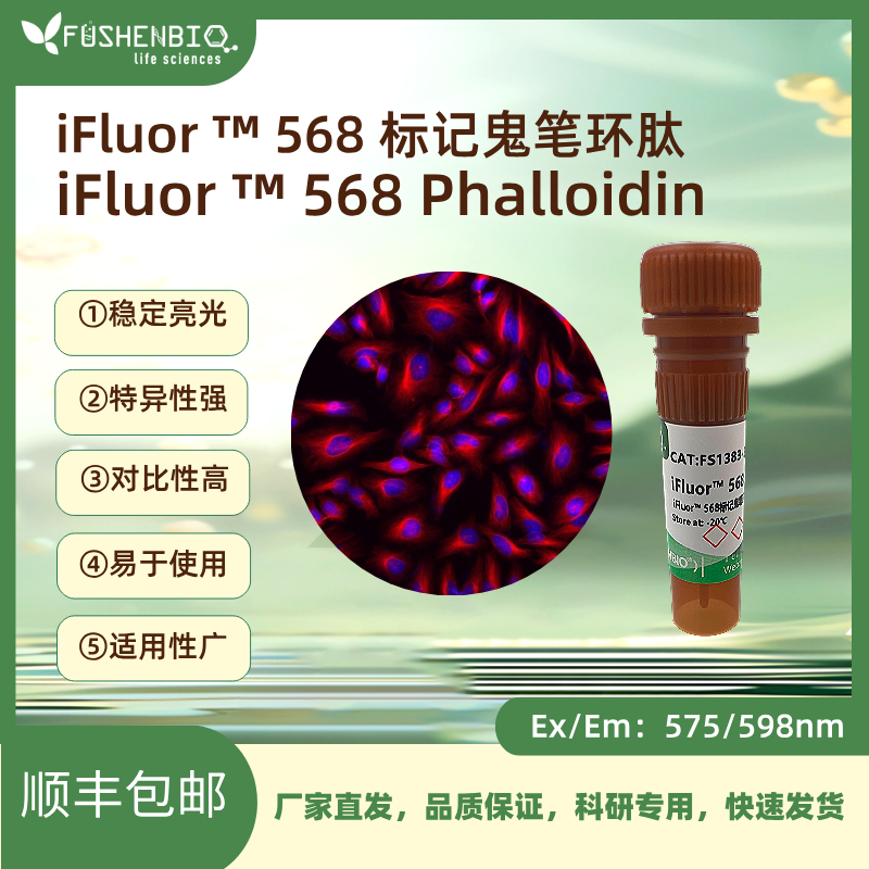 iFluor 568标记鬼笔环肽