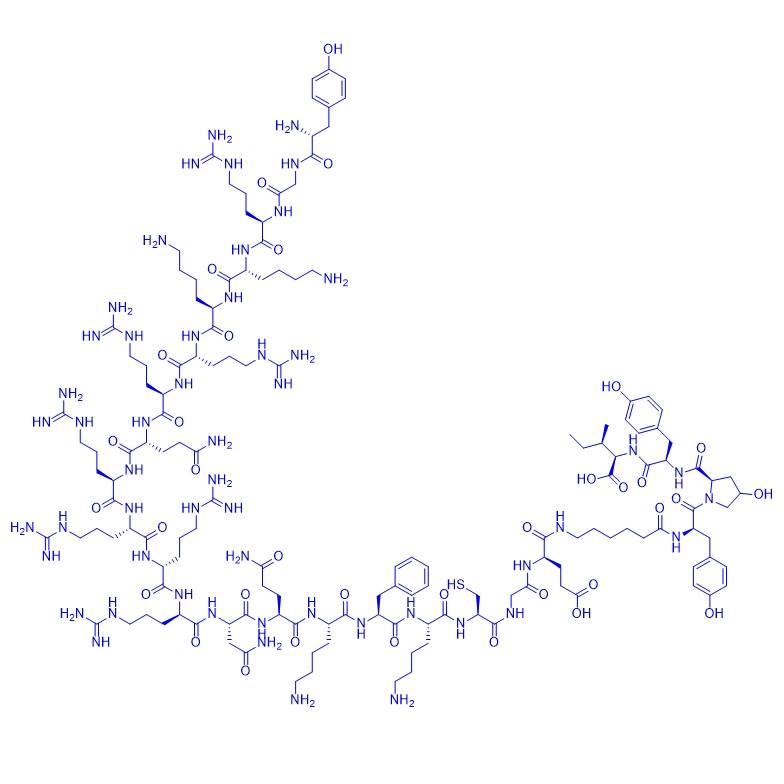 抑制剂多肽TAT-PiET-PROTAC/TAT-PiET-PROTAC