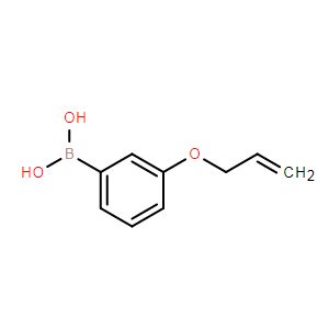 3-烯丙氧基苯硼酸