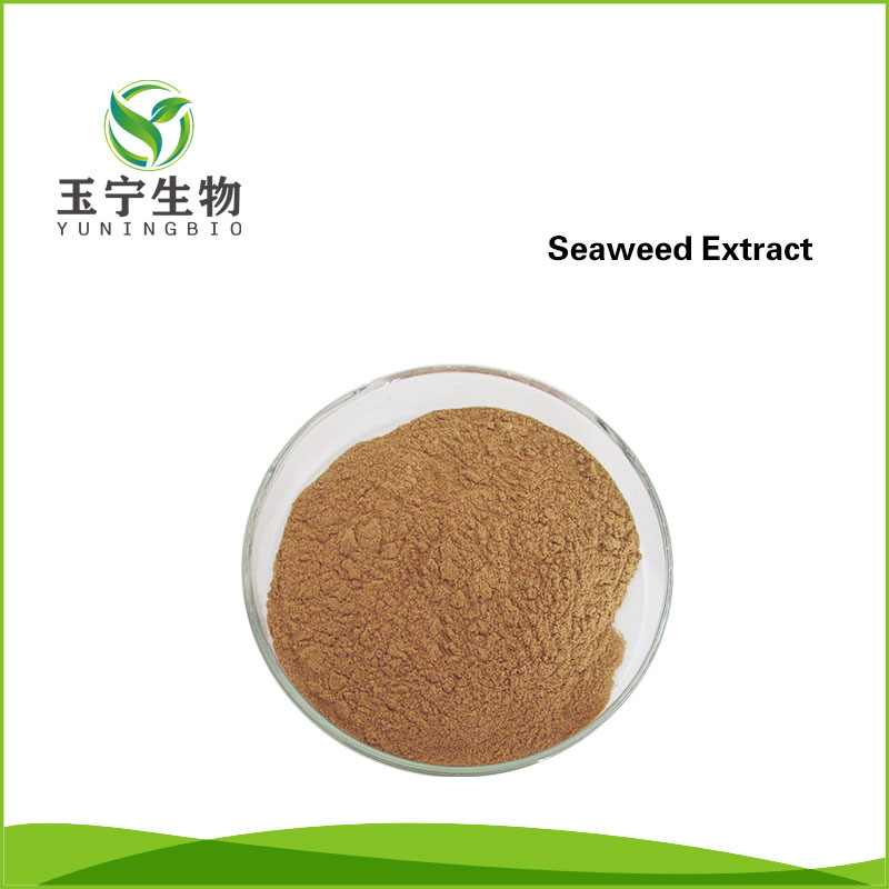 海藻提取物