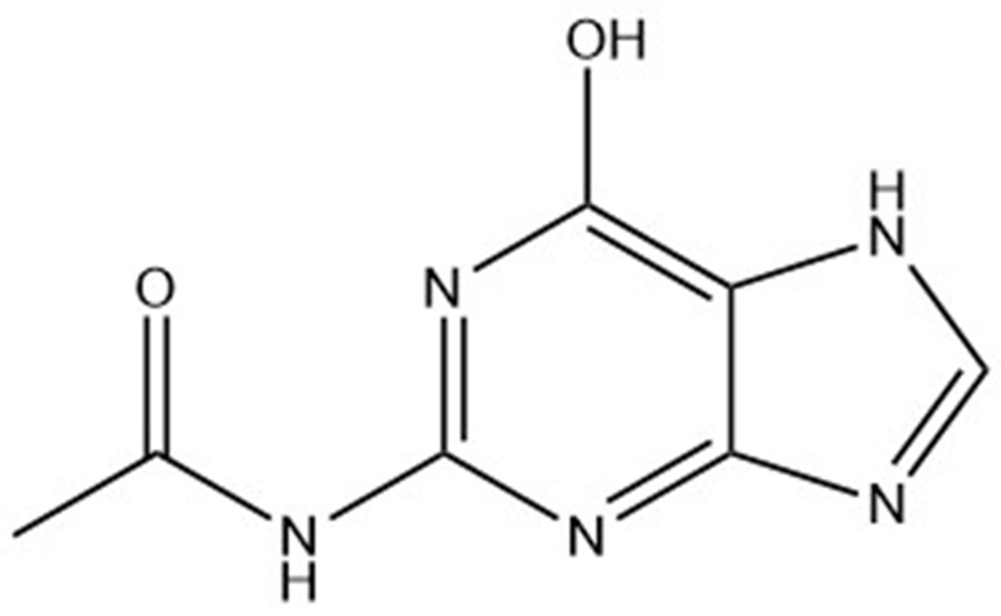 N-2-Acetylguanine;N-2-乙酰鸟嘌呤;19962-37-9  