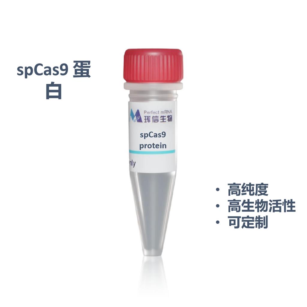 spC a s 9 Nuclease