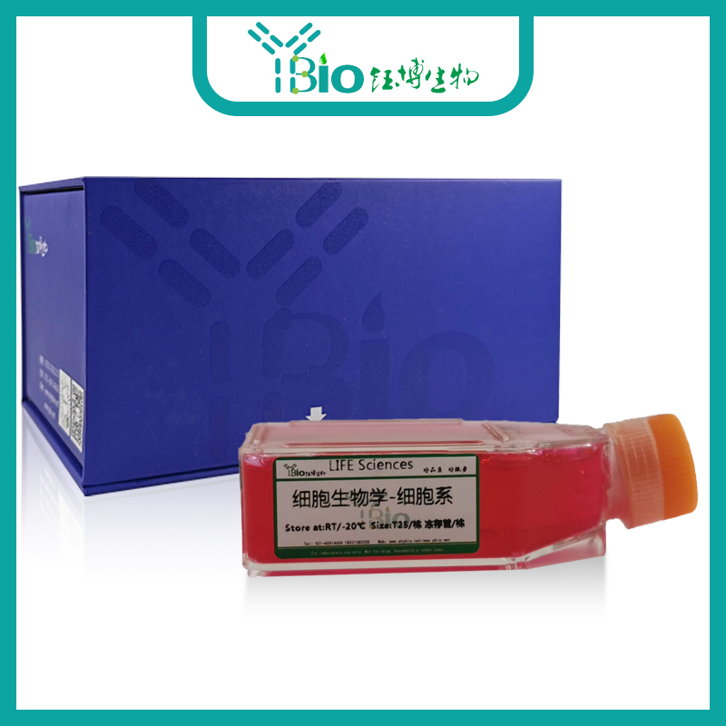 OVTOKO（人卵巢癌细胞） YB-75962HC