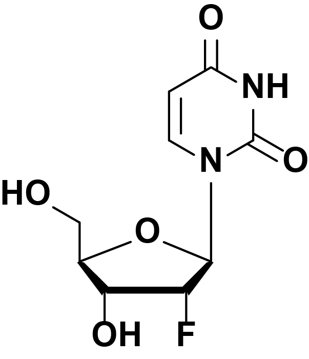 2'-F-dU