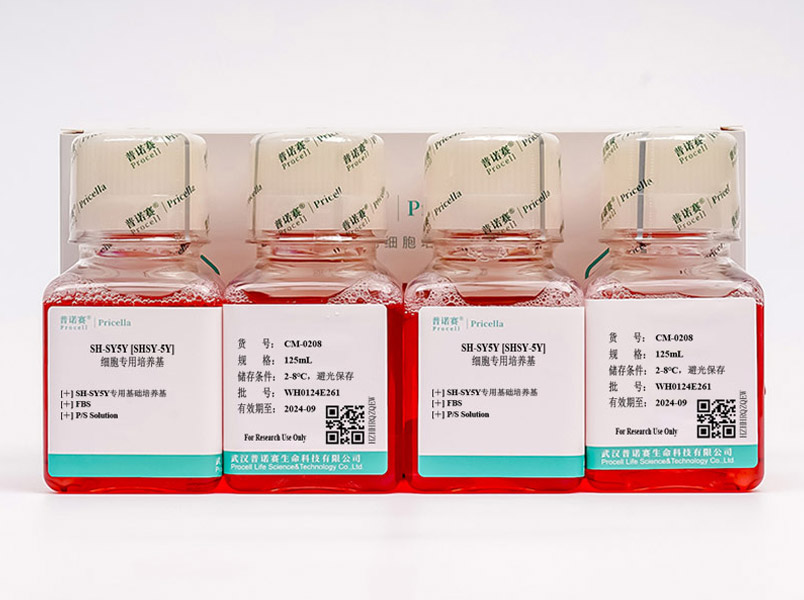 SH-SY5Y [SHSY-5Y]细胞专用培养基CM-0208