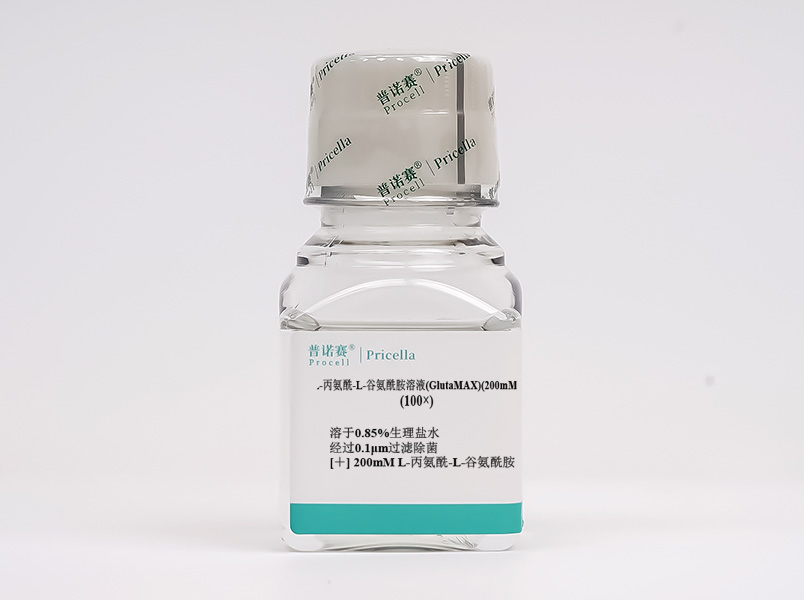 L-丙氨酰-L-谷氨酰胺溶液（GlutaMAX）(200 mM)，100×PB180419