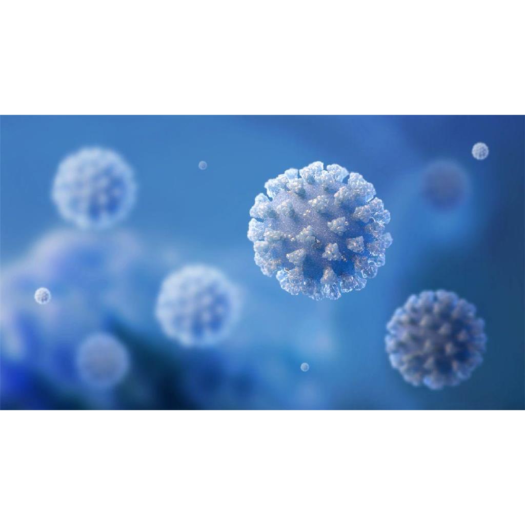 TSHR抗体促甲状腺激素受体抗体