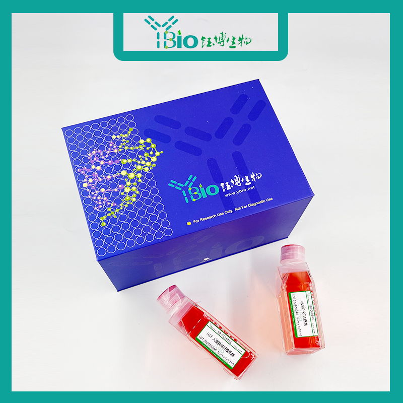 769-P（人肾细胞腺癌细胞）YB-71009HC