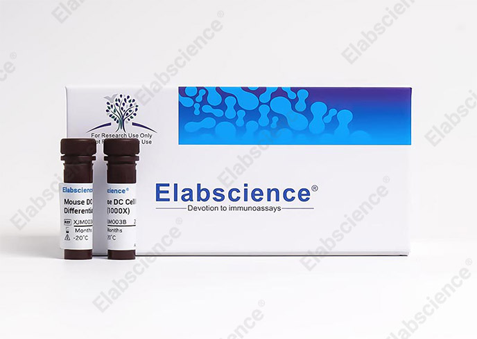 Elabscience Annexin V-FITC / 7-AAD细胞凋亡检测试剂盒-E-CK-A212