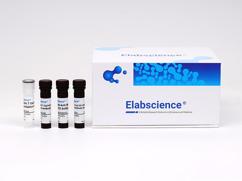 Elabscience Annexin V-FITC 染色液-E-CK-A111