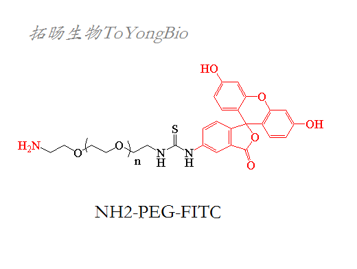氨基聚乙二醇荧光;荧光素聚乙二醇氨基 2411381-38-7
