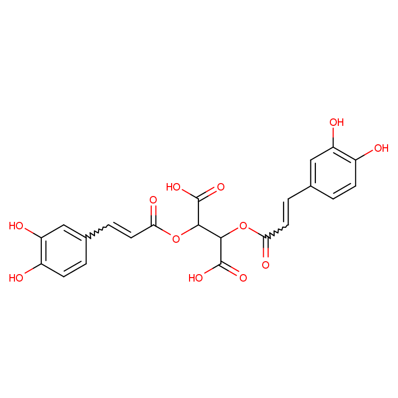 紫锥菊多酚	70831-56-0 	 CAS  生产厂家  匠信生物