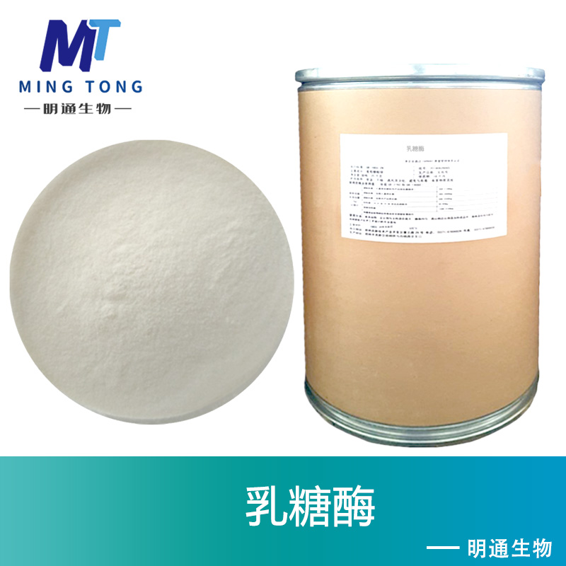 乳糖酶
