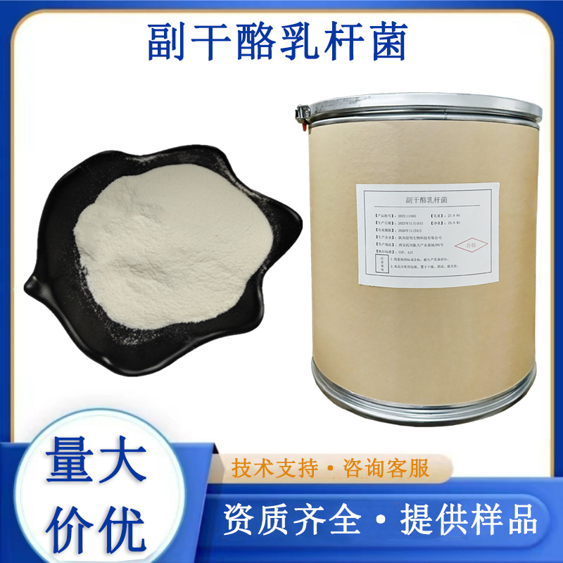 副干酪乳杆菌