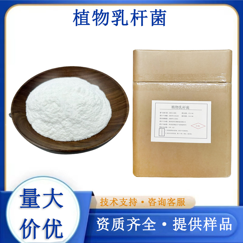 植物乳植杆菌