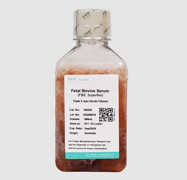 澳洲胎牛血清