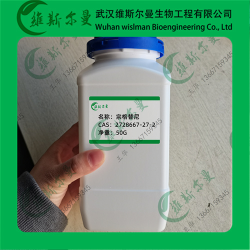 宗格替尼-2728667-27-2-纯度98%-科研试剂-研发纯度-杂质开发-找维斯尔曼王华