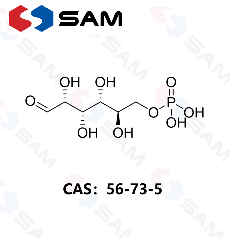D-葡萄糖-6-磷酸