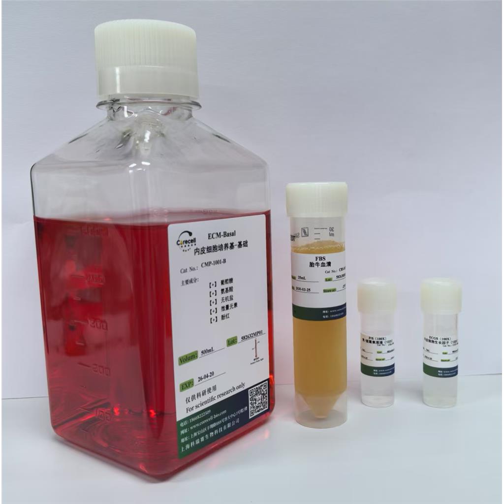 国产优质内皮细胞培养基 ，性能比较进口品牌