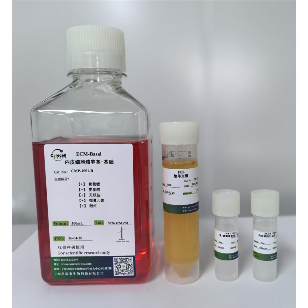 国产优质内皮细胞培养基 ，性能比较进口品牌