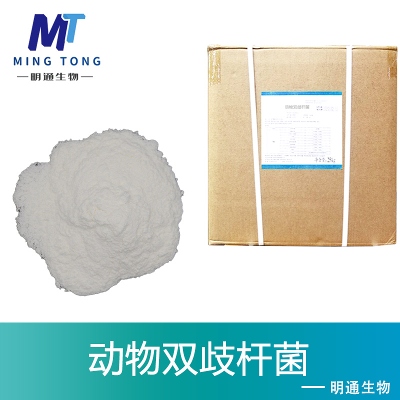 动物双歧杆菌