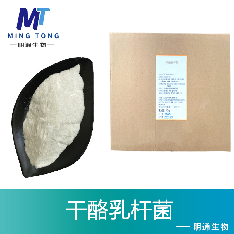 干酪乳杆菌