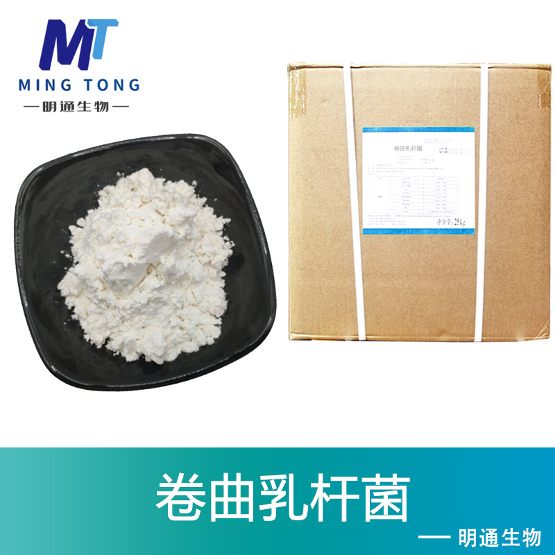 卷曲乳杆菌