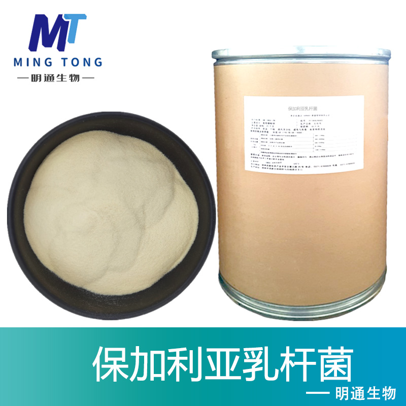 保加利亚乳杆菌