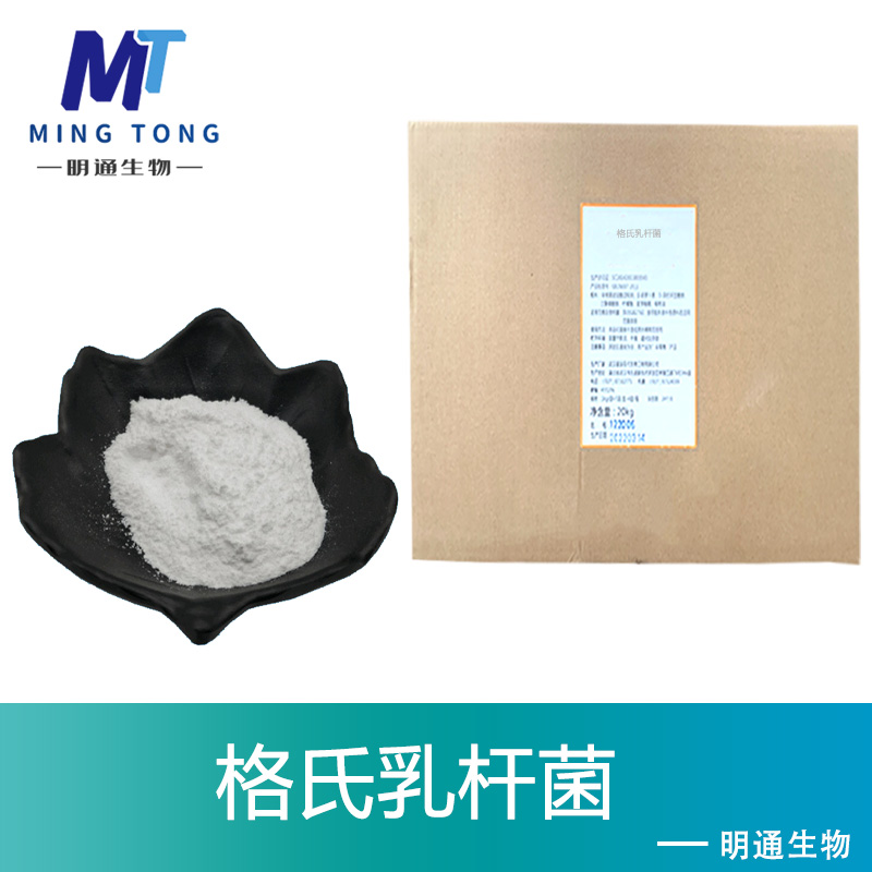 格氏乳杆菌