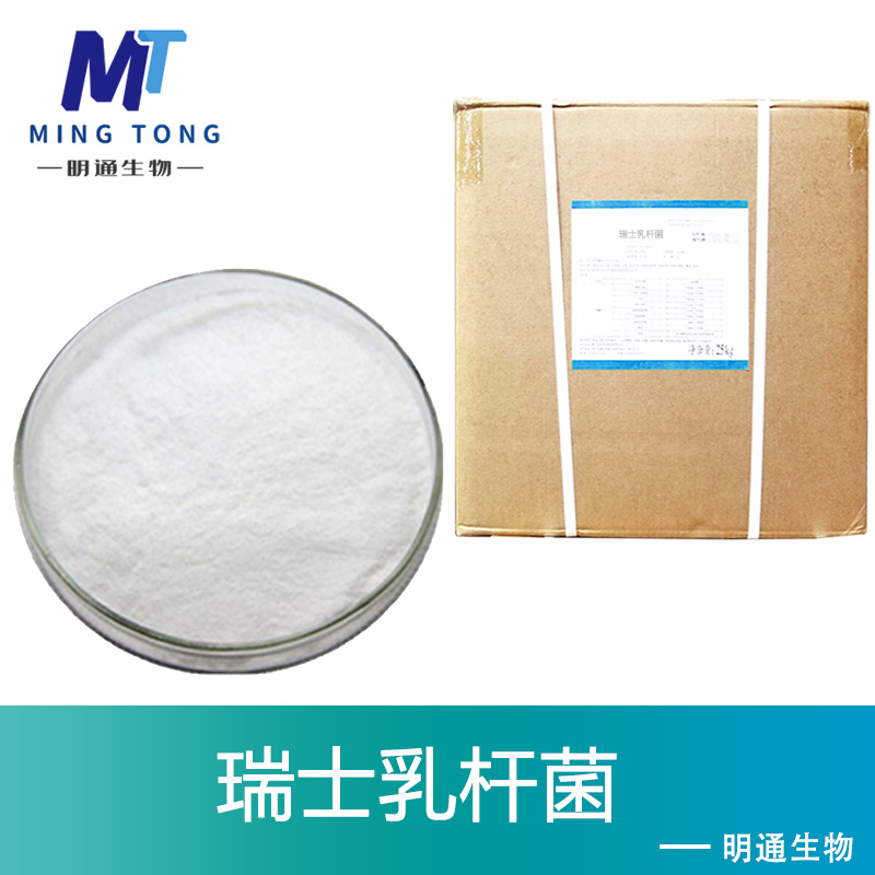 瑞士乳杆菌