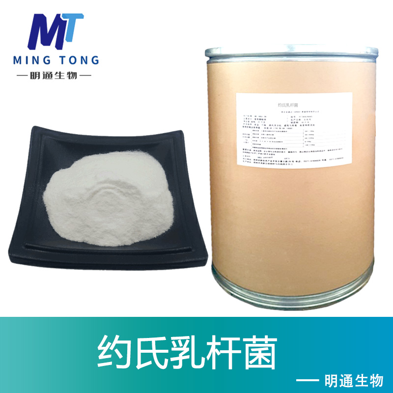 约氏乳杆菌