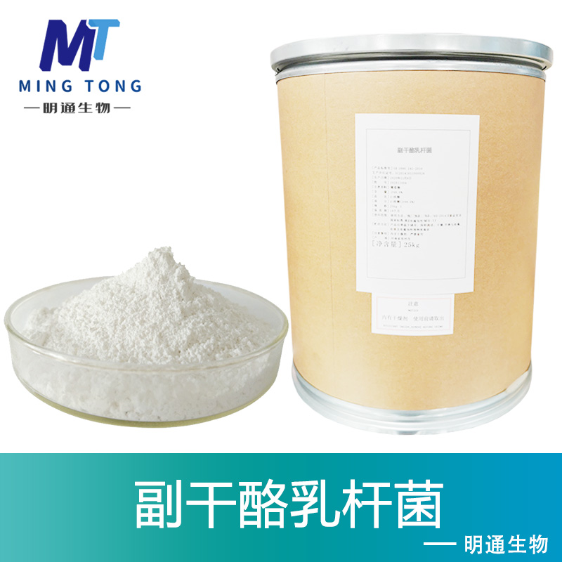副干酪乳杆菌