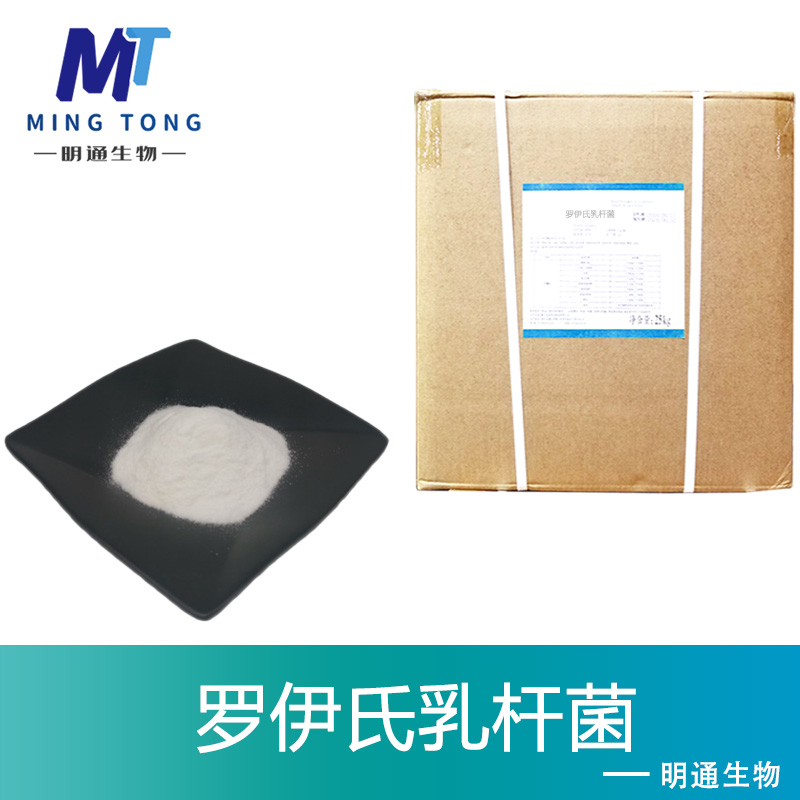 罗伊氏乳杆菌