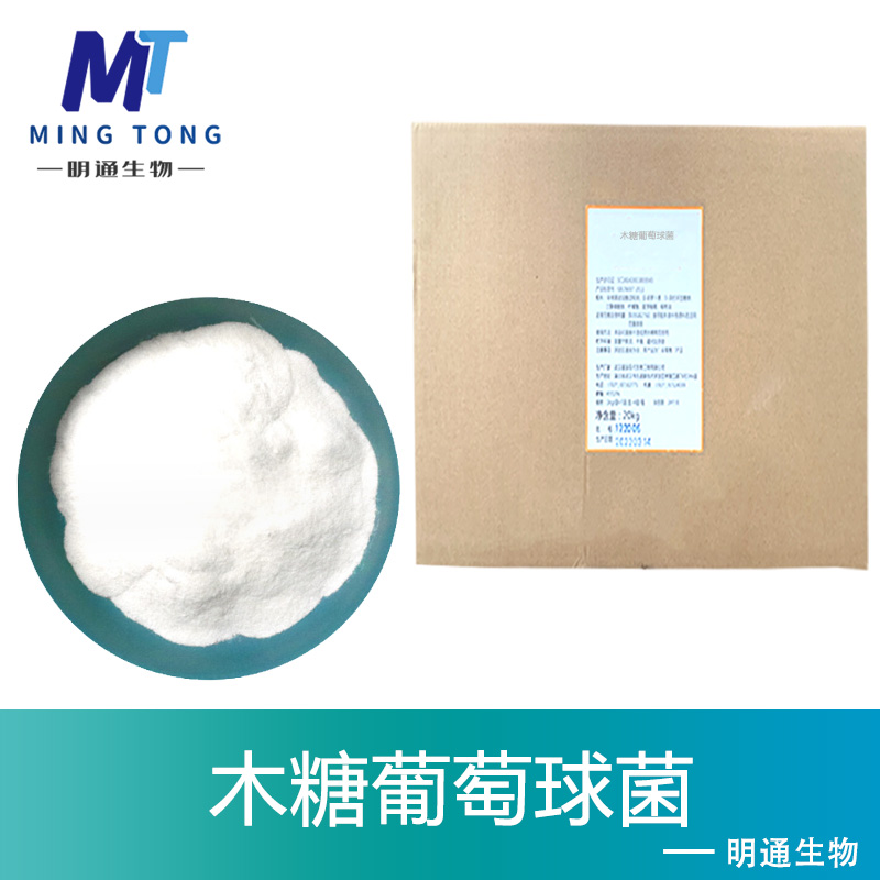 木糖葡萄球菌