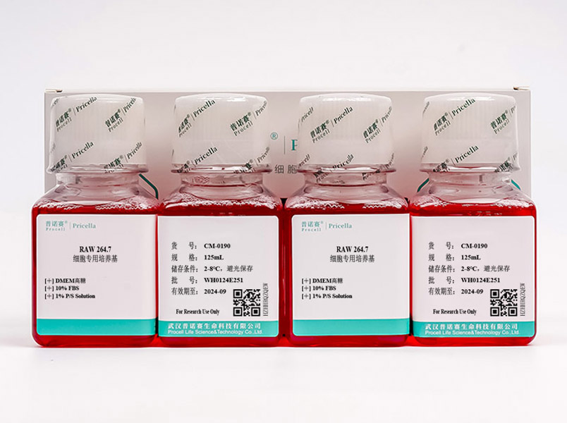 RAW 264.7细胞专用培养基CM-0190