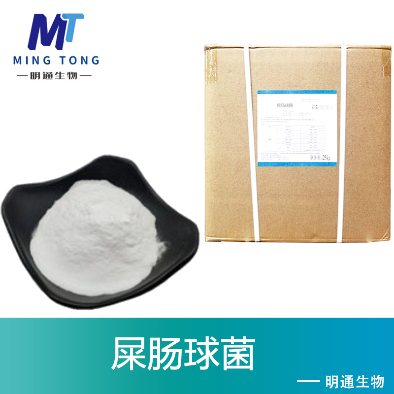 屎肠球菌