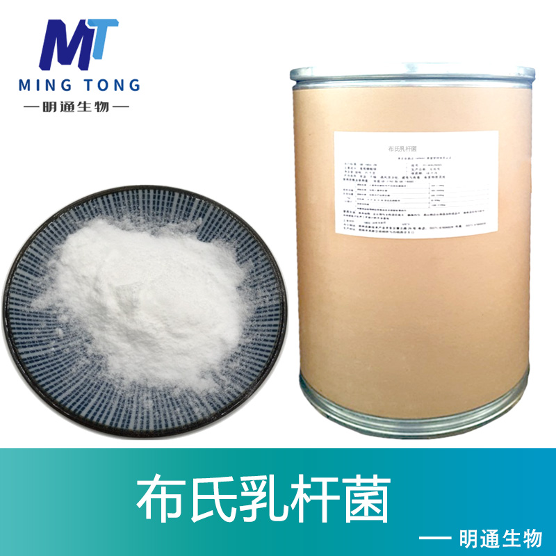 布氏乳杆菌