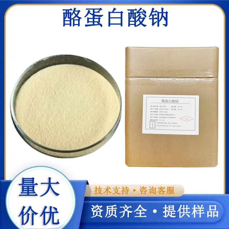 酪蛋白酸钠厂家