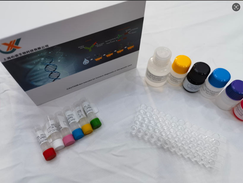 人2',5'-寡腺苷酸合成酶样蛋白(OASL)ELISA试剂盒