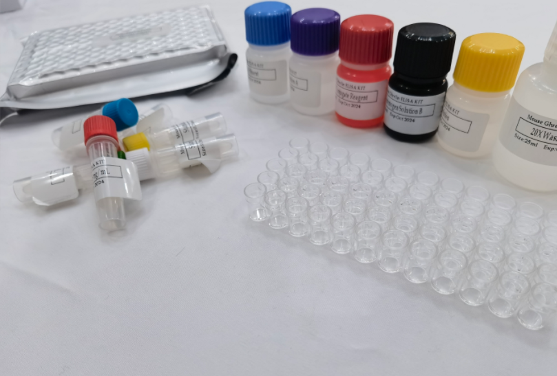 人25羟基维生素D(25-OH-VD)ELISA试剂盒