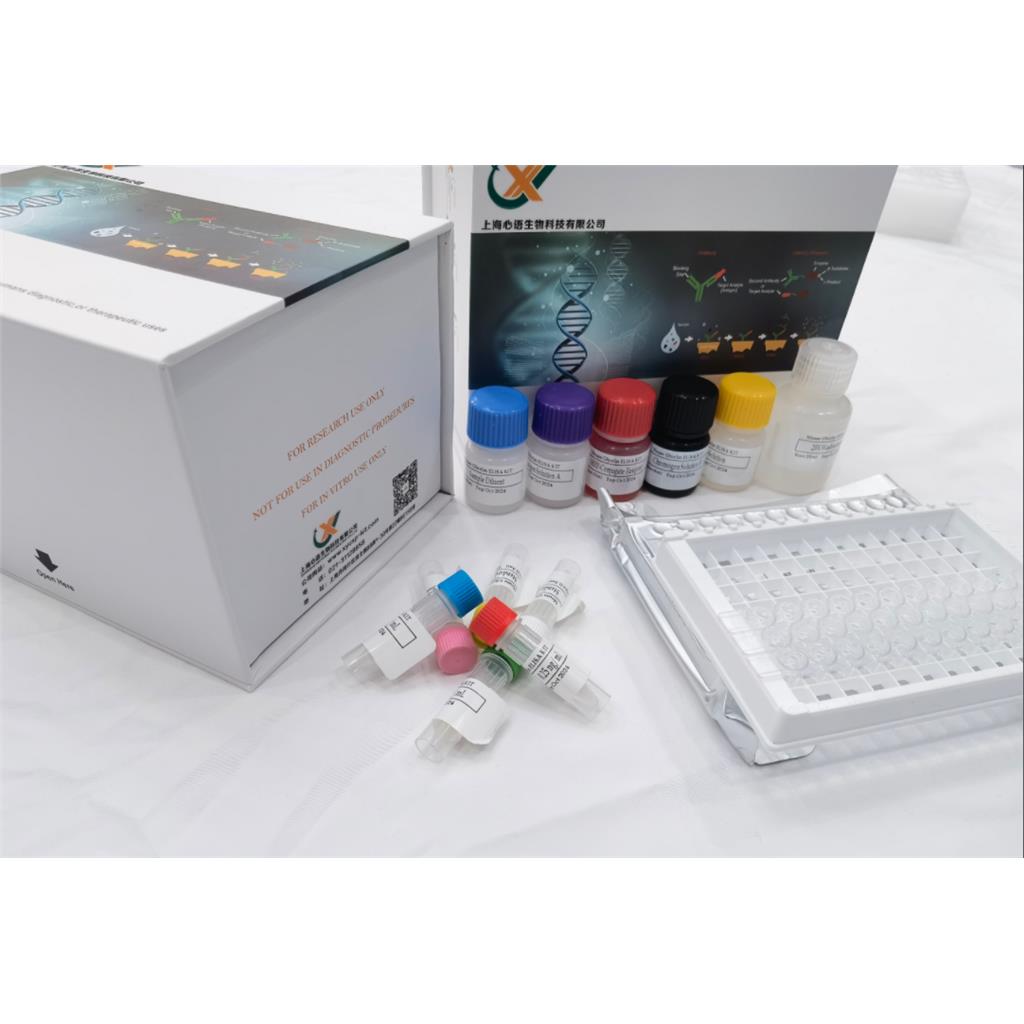 人25羟基维生素D2(25(OH)D2)ELISA试剂盒