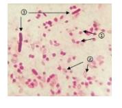 4b0a6cae-050f-4727-844e-e2e6367fa1ed.png 4b0a6cae-050f-4727-844e-e2e6367fa1ed.png