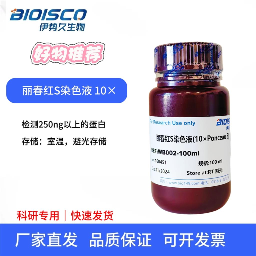 丽春红S染色液（10× Ponceau S)