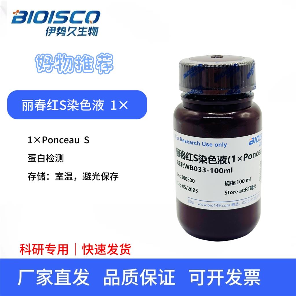丽春红S染色液（1× Ponceau S)