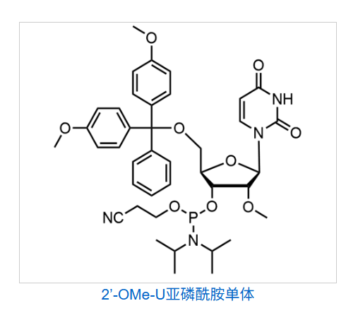 2’-OMe-U亚磷酰胺单体