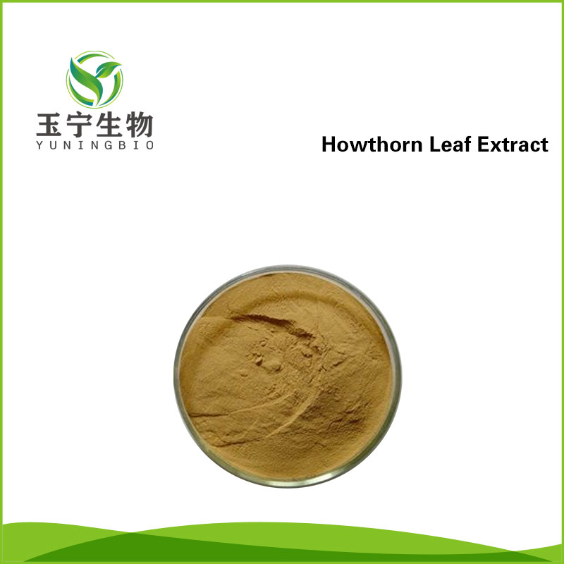 山楂叶提取物