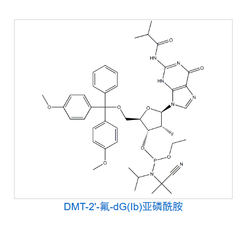 DMT-2'-氟-dG(Ib)亚磷酰胺