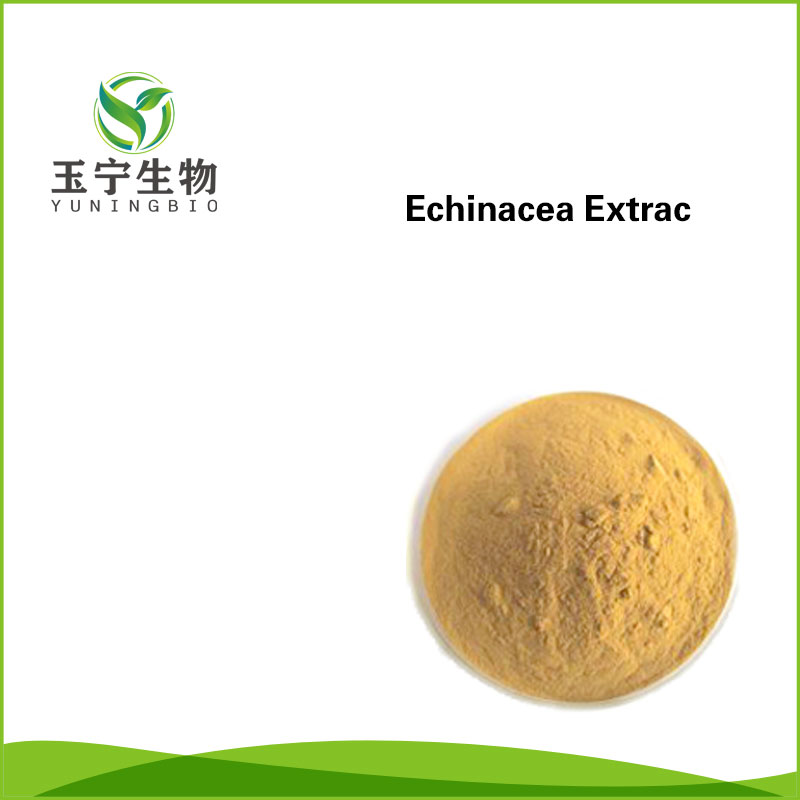 紫锥菊提取物 61276-17-3