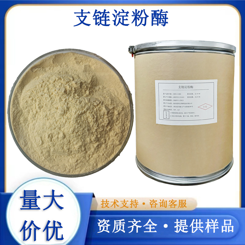 支链淀粉酶厂家