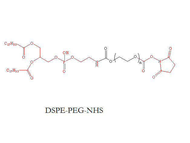 二硬脂酰基磷脂酰乙醇胺聚乙二醇活性酯;活性酯聚乙二醇二硬脂酰基磷脂酰乙醇胺